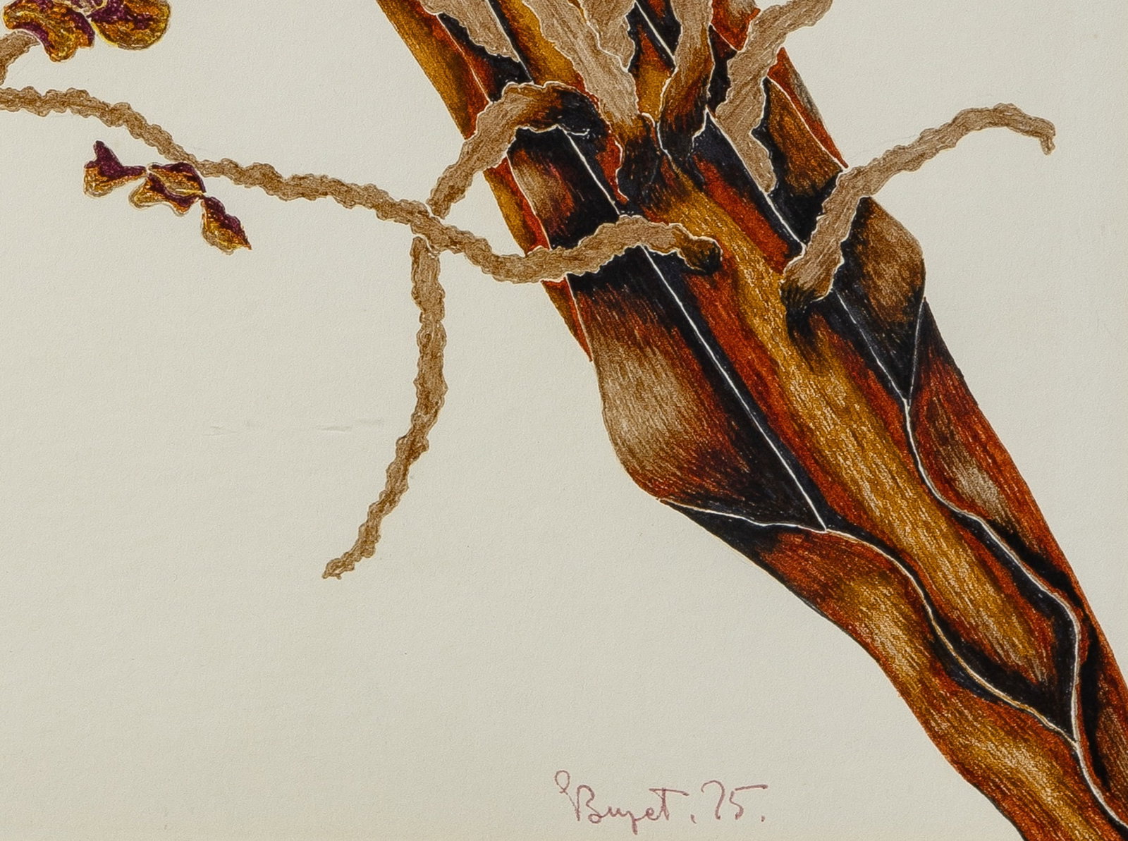 Giuseppe Buzzetti - 2