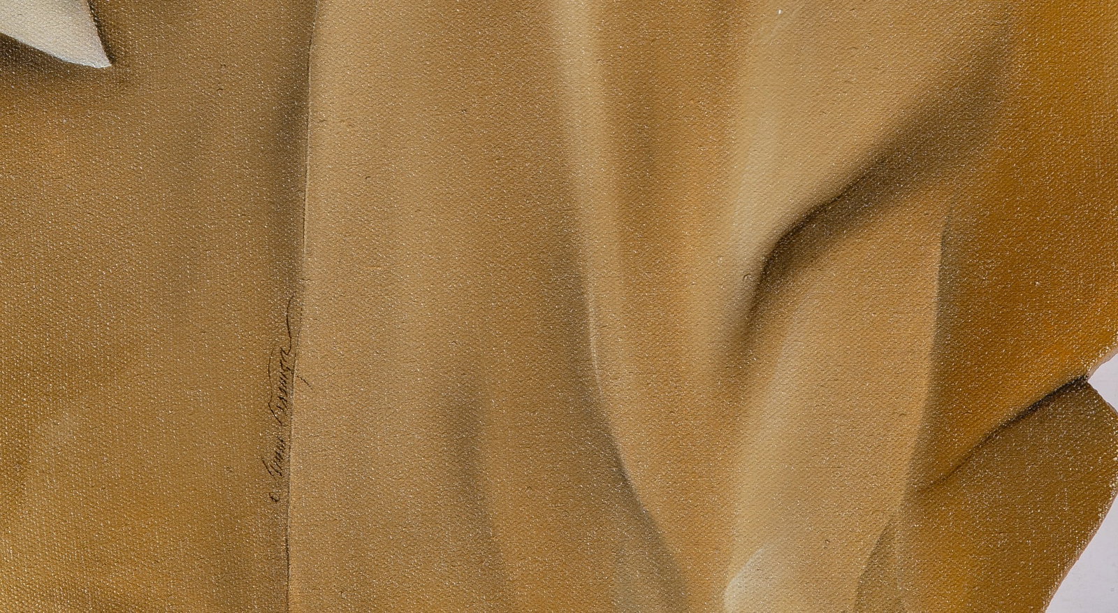 Ann Osenga - 6
