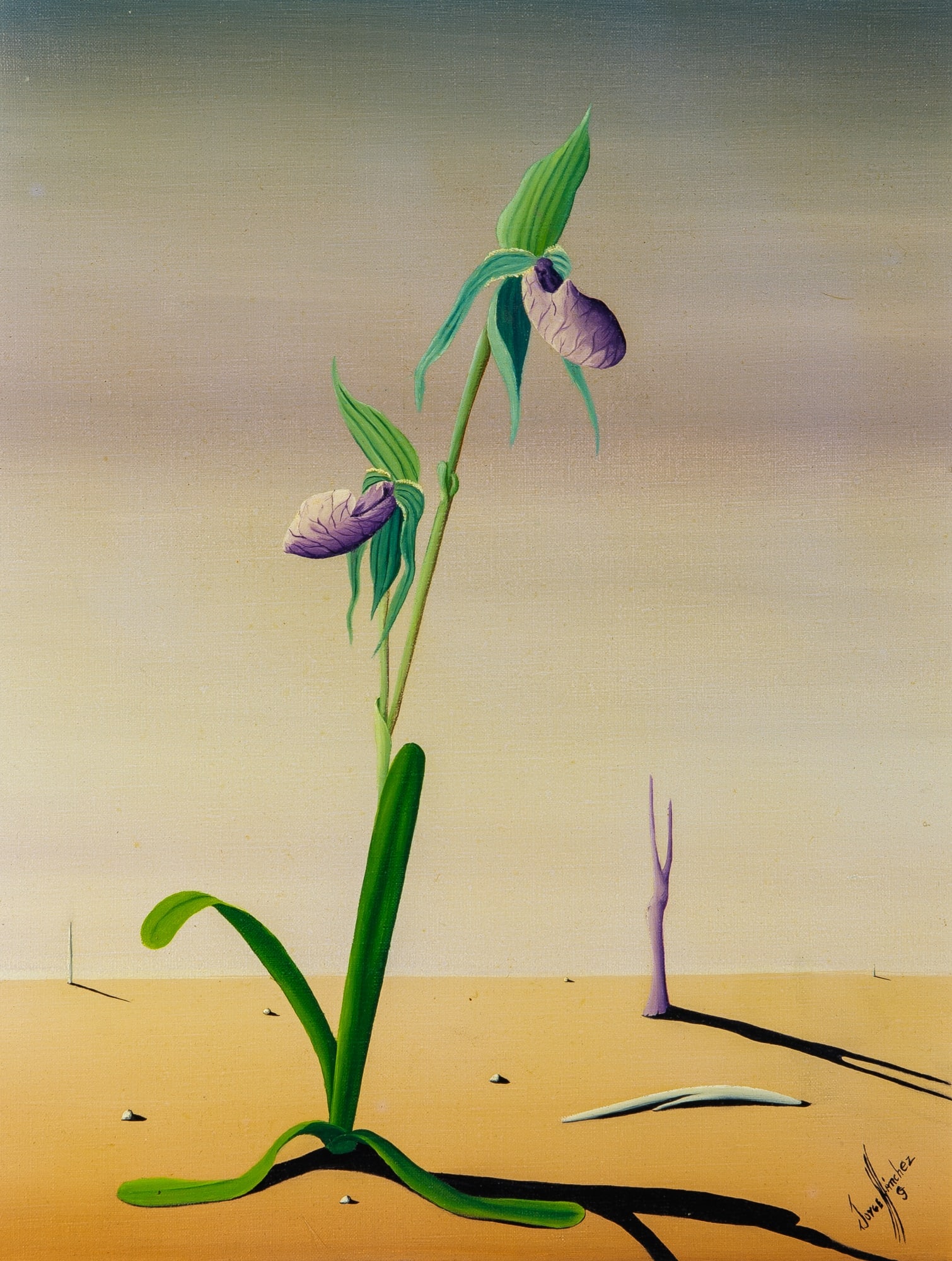 Jorge Noceda Sanchez: Dominican/American, 1925-1987 Chrysalis on a Plant Signed Jorge Sanchez G (lr) Oil on canvas 14 x 11 1/8 inches (35.6 x 28.3 cm) (Frame 21 x 17 3/4 inches)