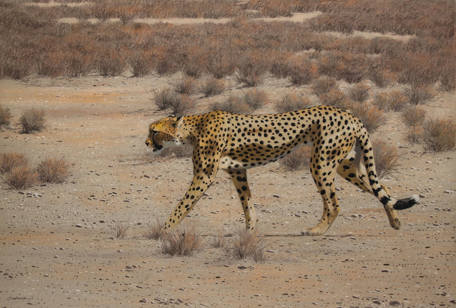 Kim Donaldson: Zimbabwean, b. 1952 On the Prowl Signed Kim Donaldson (ll) Pastel and charcoal on paper Sight 28 3/4 x 42 inches (73 x 106.7 cm) Provenance: The Tryon Gallery Ltd., London (Frame 38 1/4 x 52 inches)
