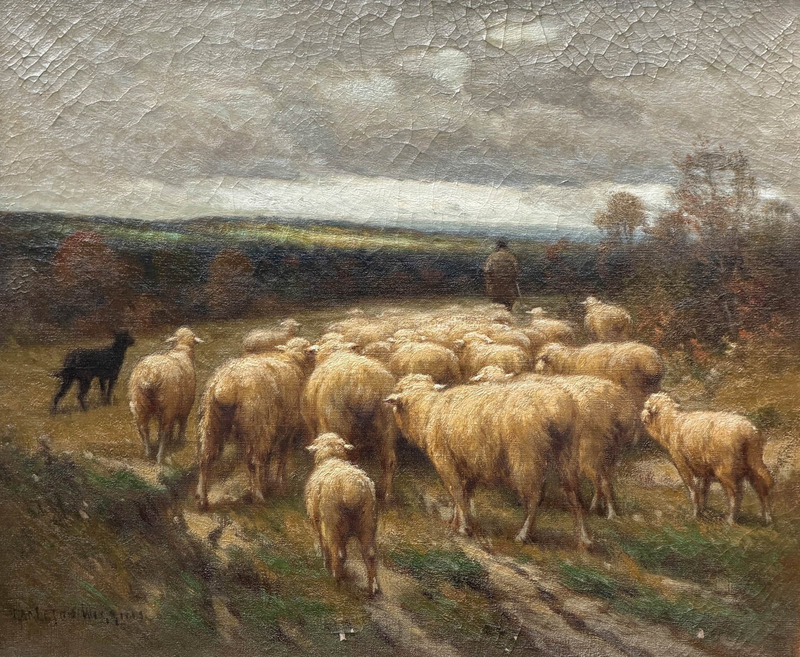 Carleton Wiggins - 2