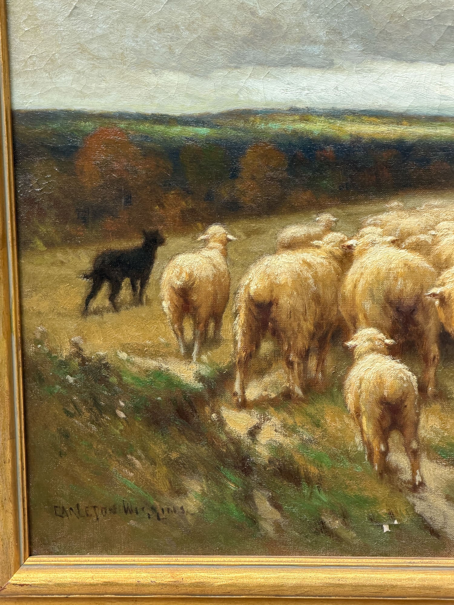 Carleton Wiggins - 5