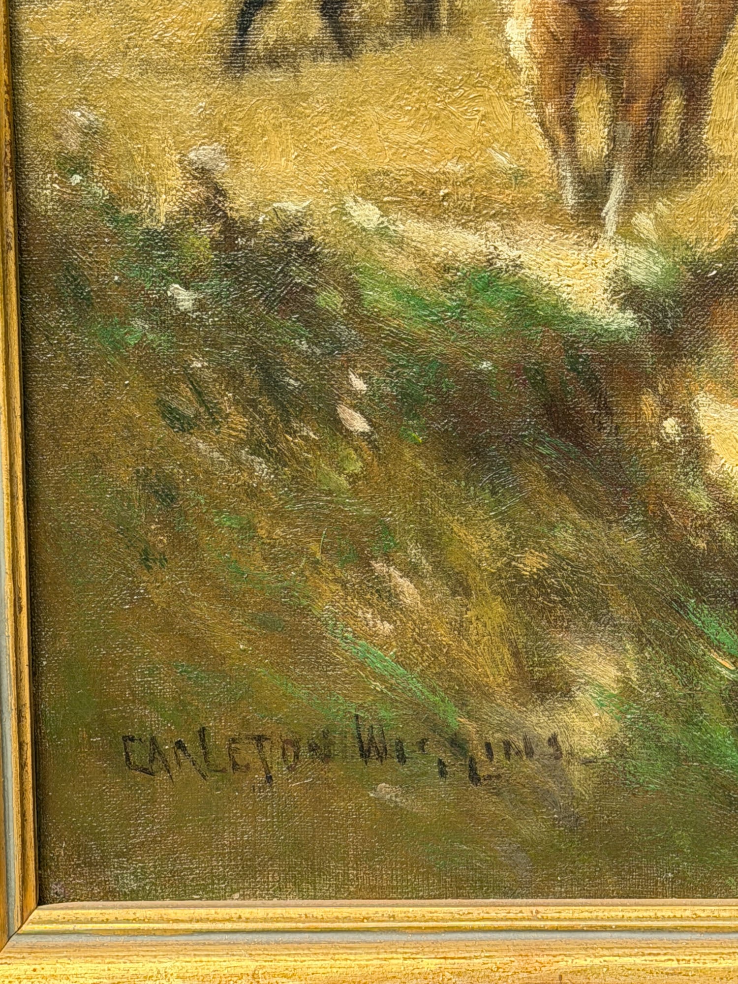 Carleton Wiggins - 7
