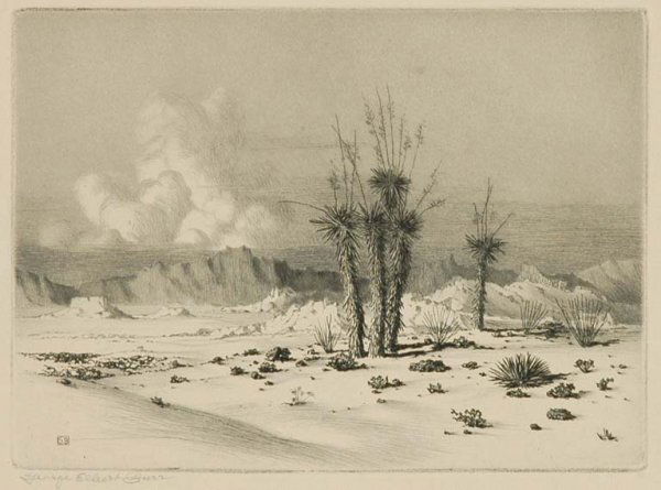 George Elbert Burr EVENING, ARIZONA Etching; t/w: George Elbert Burr EVENING, ARIZONA (SEEBER 367) Etching, circa 1930, signed in pencil; Together with Jack Van Ryder GIANT CACTUS, drypoint, signed, titled and numbered 15/20 in pencil; and Rodney