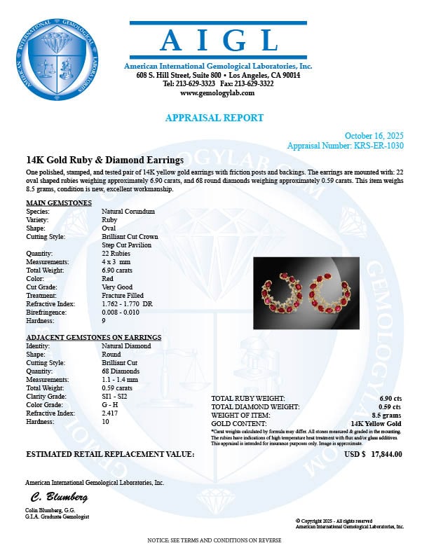 14K Gold 6.90cts Ruby & 0.59cts Diamond Earrings - 4
