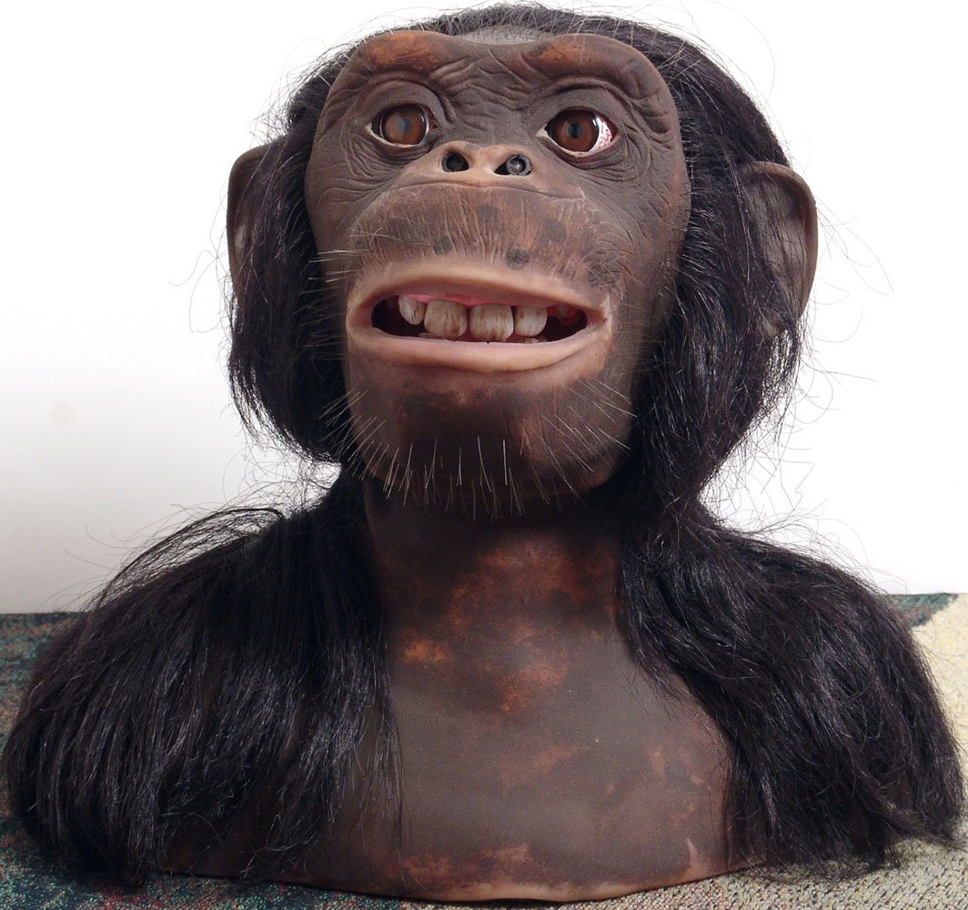 Alive! Animatronic Chimpanzee Bust by The Sharper Image: This is a life-size Alive! Chimpanzee by The Sharper Image. Model number WW258. Realistic hair, skin, and sounds of the wild; fully animated features, interactive and communicative. Four distinctive m