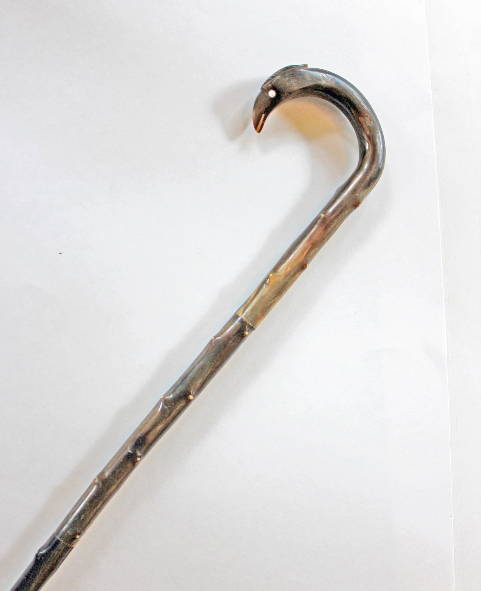 WALKING CANE: Walking cane with knotty stick and stylized handle that resembles a bird. Faux pearl accents for eyes.