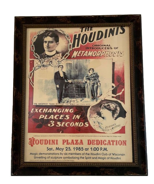 Framed Houdini Metamorphosis Poster (1 of 2)