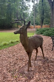 LARGE LIFE SIZE IRON DEER VERY HEAVY CIRCA EARLY 1900s