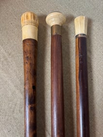 GROUP LOT OF 3 WALKING CANE/WALKING STICKS