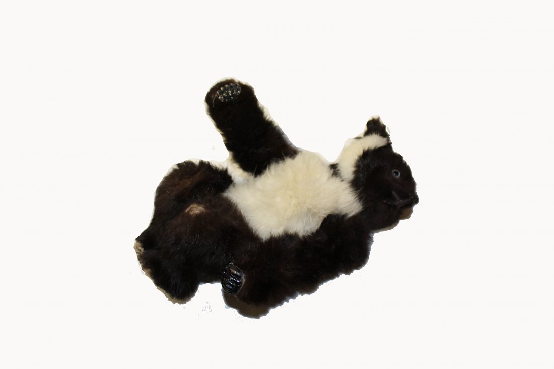 Roly-Poly Bear (1 of 1)