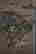 item-43986409=3