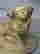 item-54081303=2