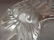 Lalique Lion Tray - 2