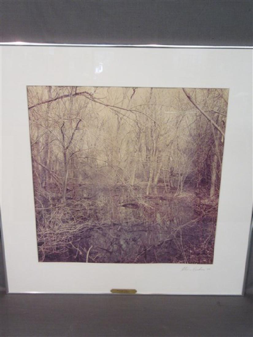 Steven Bendror (American, 20th century) "Wooden Swamp" (1 of 3)