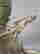 item-62608183=3