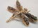 14k Yellow Gold Dragonfly Pin - 2