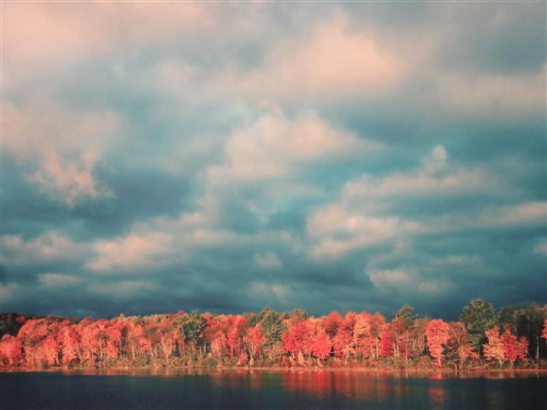 M. Gary Neuman (American, 21st C.) Catskills: M. Gary Neuman (American, 21st C.) Titled: Catskills, New York (Autumn) Photograph image on mounted canvas Dimensions: 30" X 40" no. 7 in an edition of 50 Signed.