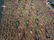 Persian Wool Carpet Bag Face - 2