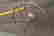 item-70584342=2