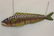 Vintage Carved Wood Fish Bait Shop Trade Sign - 4