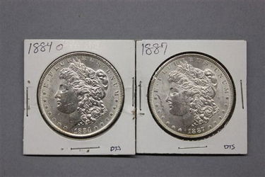 Two (2) U.S. Silver Morgan Dollars