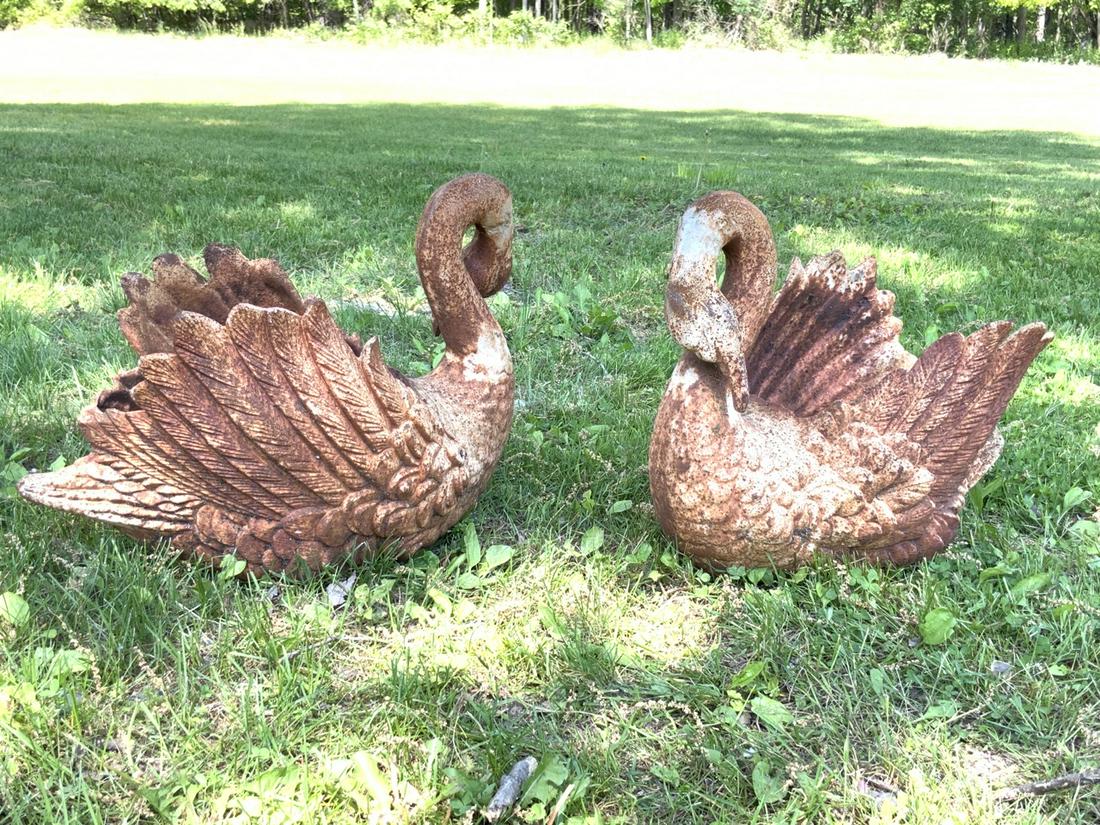 A Pair, Cast Iron Garden Swan Planters (1 of 5)