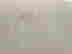 item-121647759=2