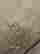 item-121647817=3