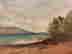 item-121647823=2