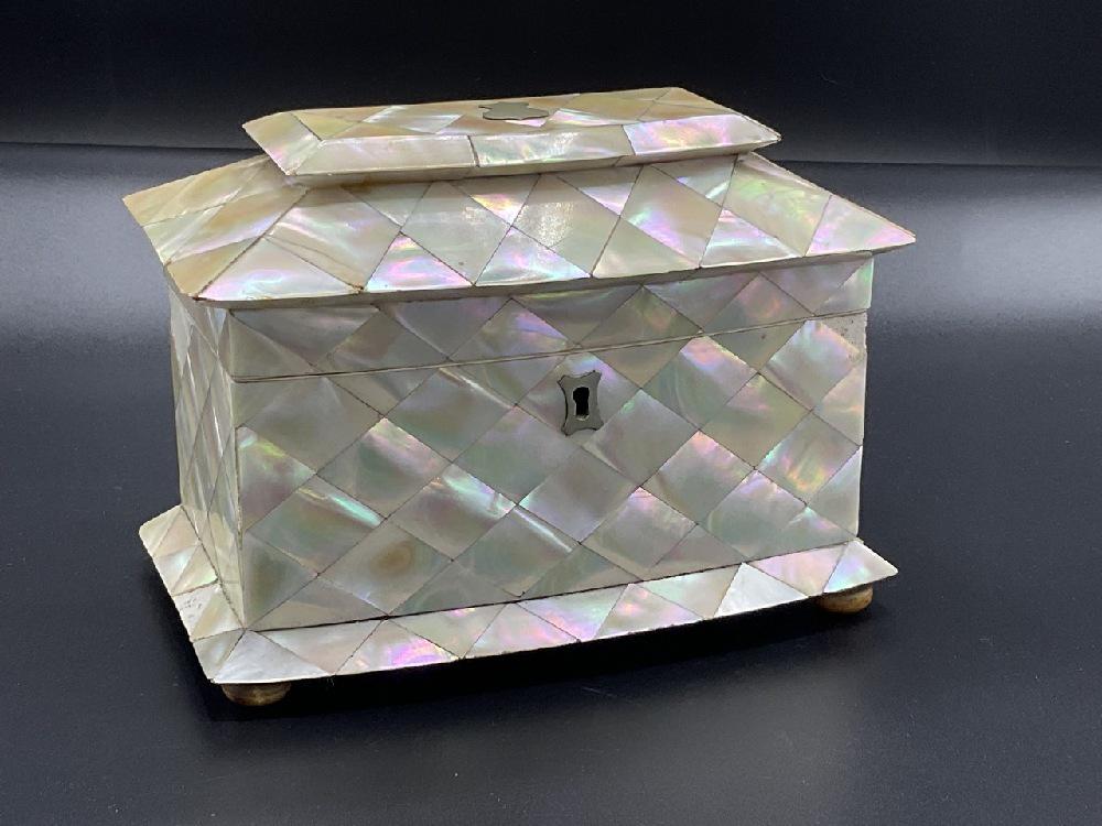 Antique Mother-Of-Pearl Decorated Tea Caddy (1 of 8)
