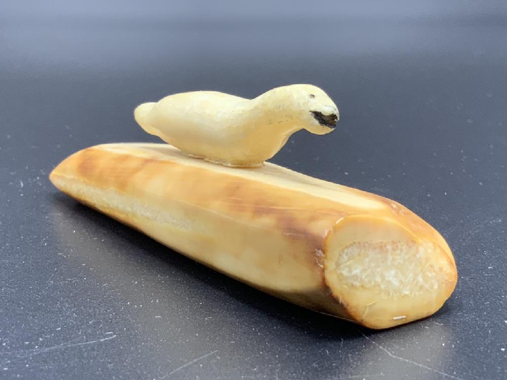 Alaskan Carved Seal on Walrus Tusk: Eskimo Style, seal carved on walrus tuskSigned Dimensions: 1" X 4" X 1"