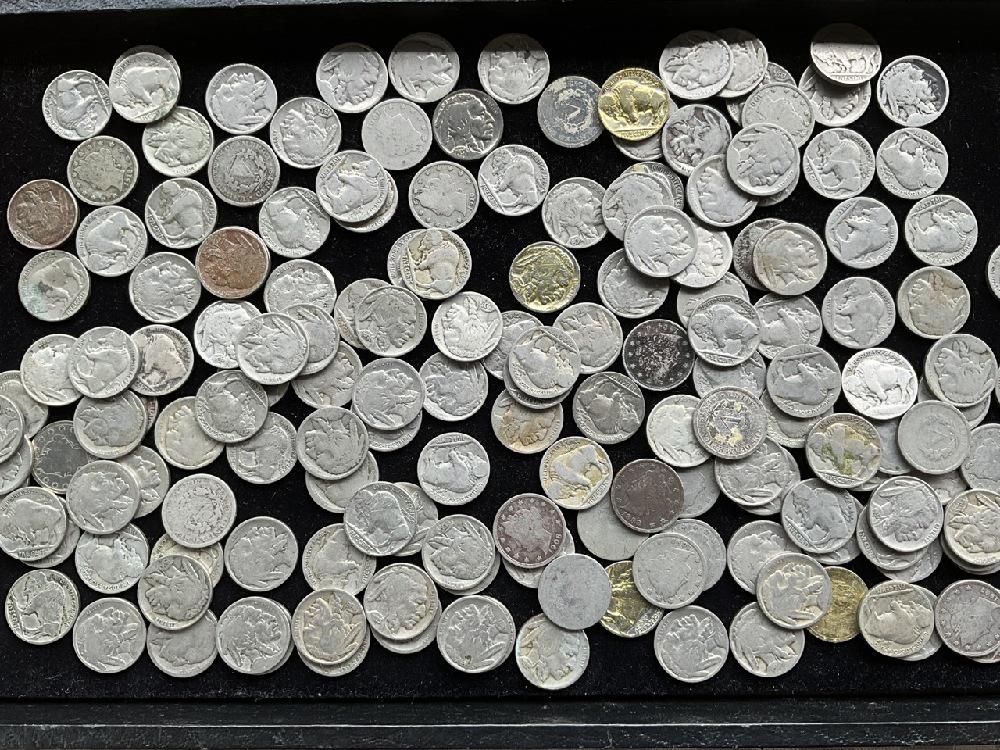 165 Buffalo and V Nickels (1 of 2)