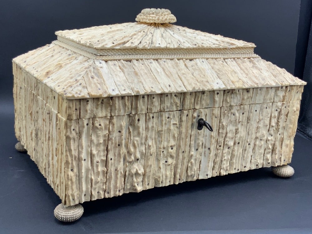 Antique Anglo-Indian Antler Covered  Box  (Largest) (1 of 8)