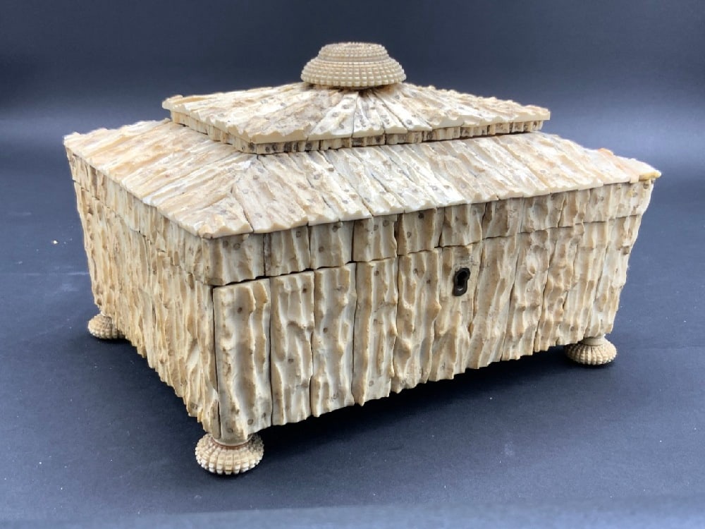 19th c. Anglo-Indian Antler Covered Box (Small) (1 of 5)