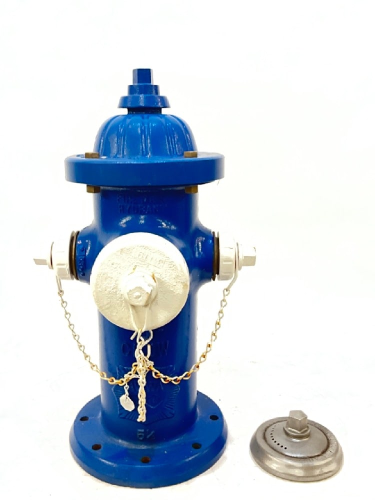 Vintage AWWA Fire Hydrant (1 of 9)