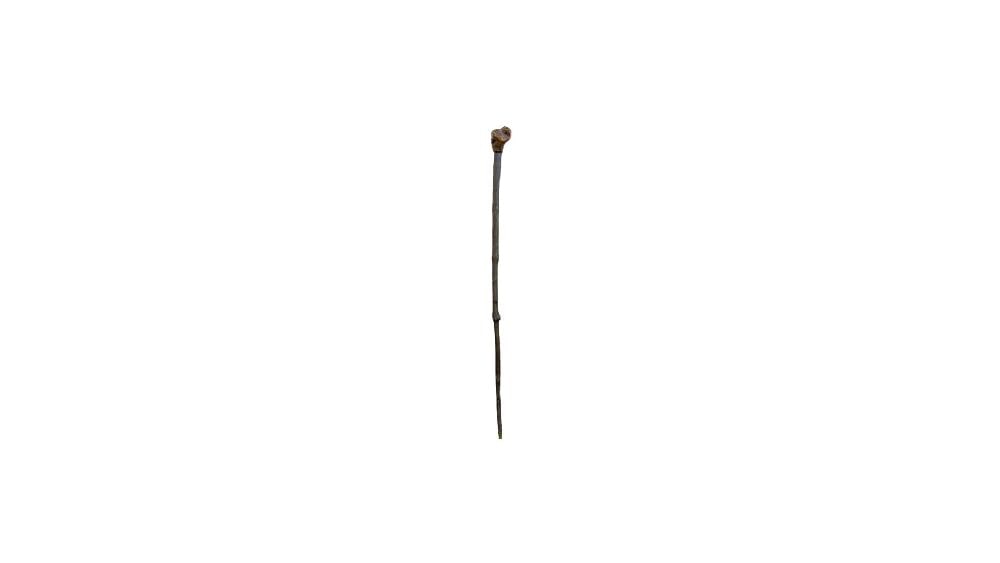 Antique Folk Art Walking Stick (1 of 9)
