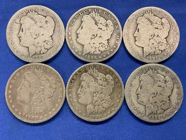 Six (6) U.S. Morgan Silver Dollars