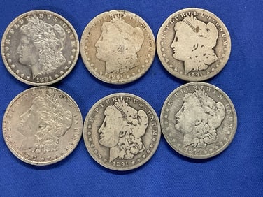 Six (6) 1891 U.S. Morgan Silver Dollars