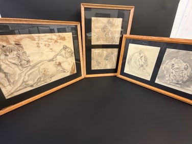 Pencil Sketches Lions and Tigers. Unattributed Possible Bronx Zoo Art