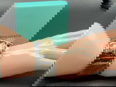 2001 Tiffany & Co Dragonfly Cuff Bracelet