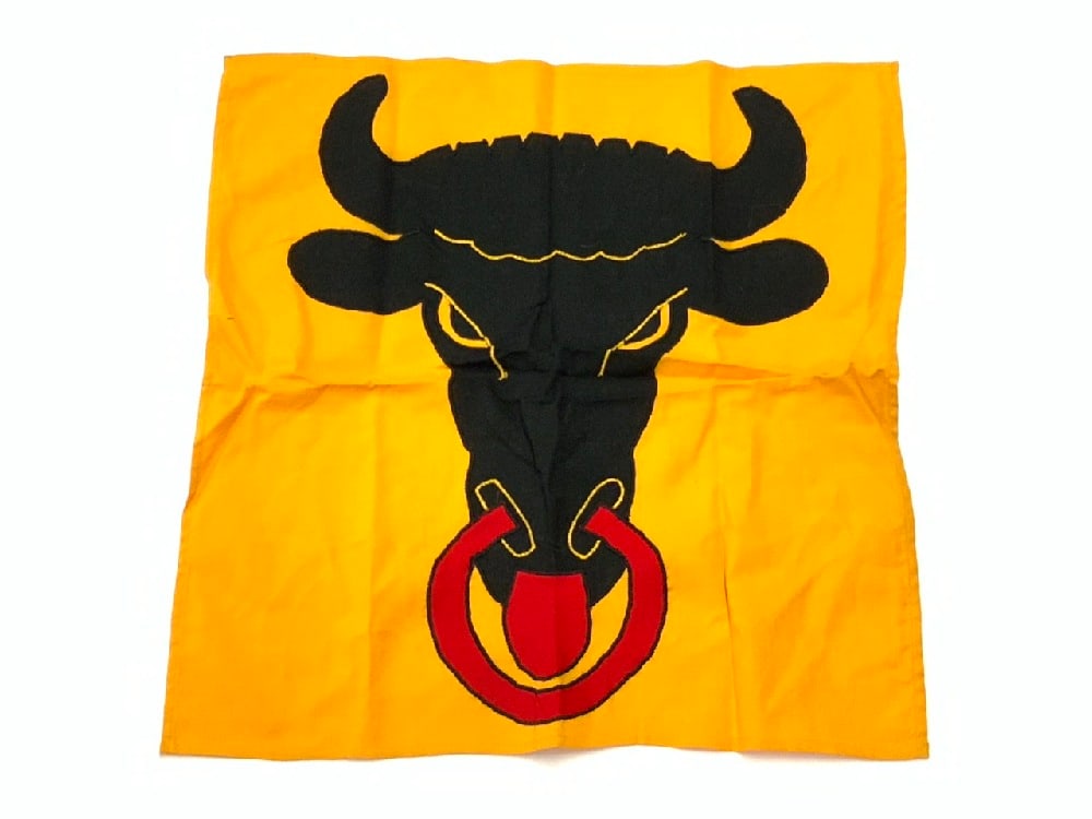 Uri Canton Switzerland City Flag: Uri Canton Switzerland City Flag.Dimensions: 20” x 20”