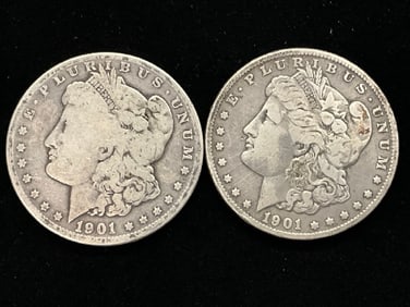 (2) 1901-O Morgan Silver Dollars