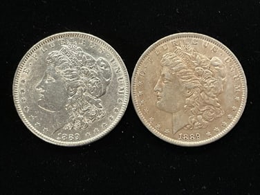 Lot of (2) 1889-P Morgan Silver Dollars
