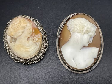 Two (2) Antique Cameo Brooch/ Pins