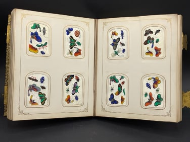 An Album Filled with 120 Chinese Pith Watercolor Paintings