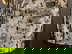 item-210462858=7