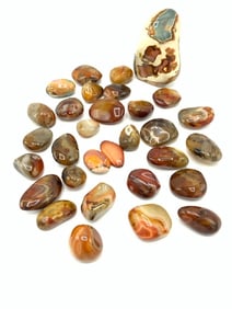 (31) Desert and Oceanic Jasper Stones