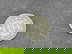 item-210462965=8