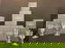 item-210462973=1
